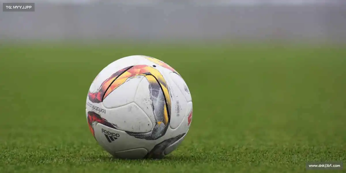 J9集团平台——🏇马术优雅，掌控每一步节奏🐎